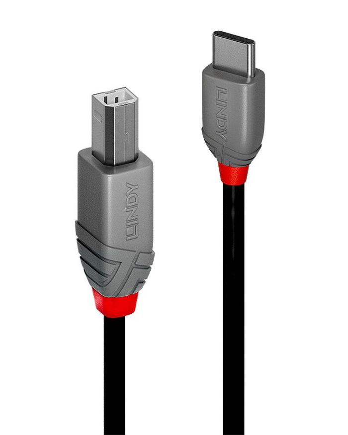 CABLE USB2 C-B 2M/ANTHRA 36942 LINDY