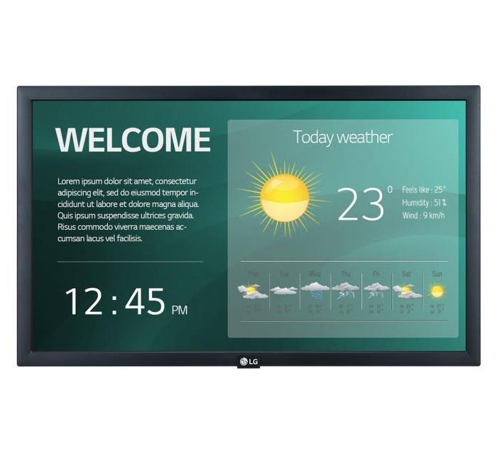 DISPLAY LCD 22″/22SM3G-B LG