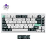 KEYBOARD WRL Q1 HE RGB/SHELL WHITE Q1H-P1 KEYCHRON