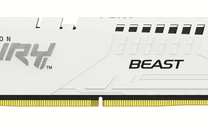 MEMORY DIMM 32GB DDR5-6000/KF560C36BWE-32 KINGSTON