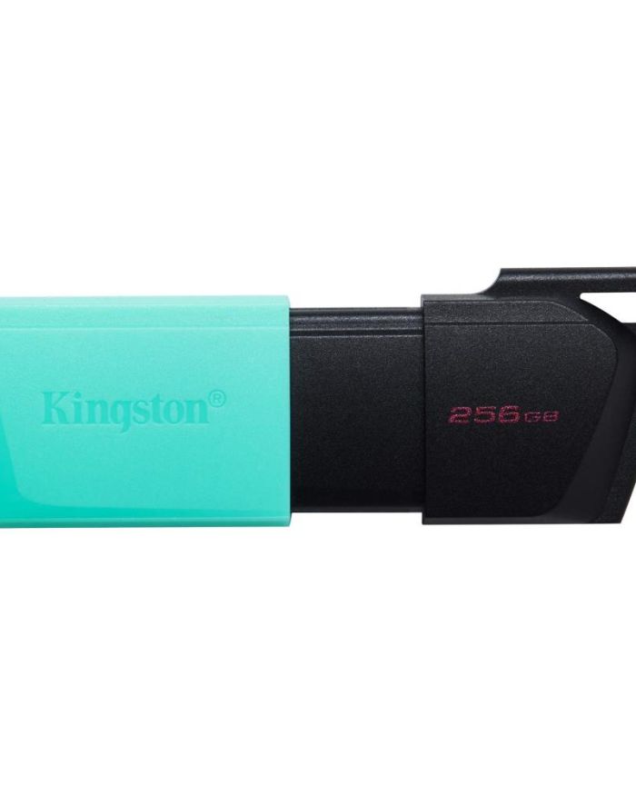 MEMORY DRIVE FLASH USB3.2/256GB DTXM/256GB KINGSTON