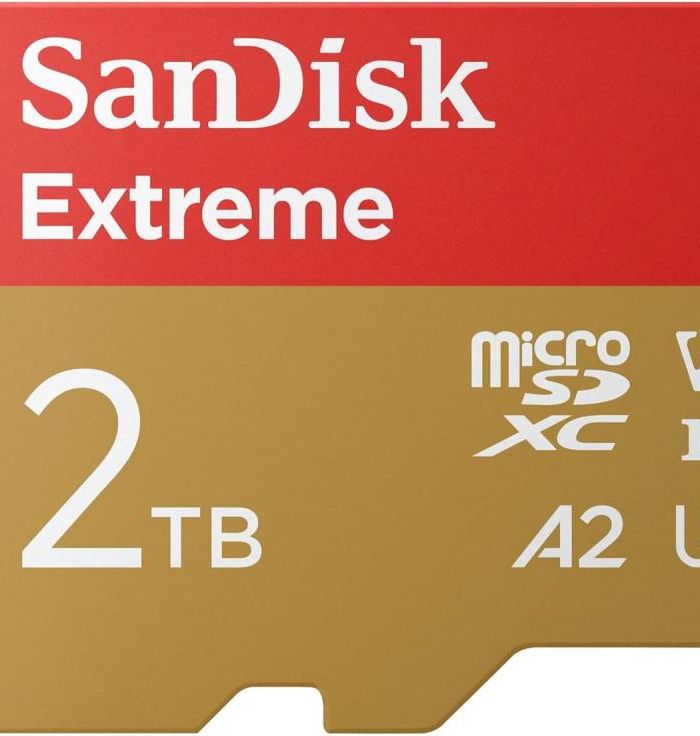 MEMORY MICRO SDXC 2TB UHS-I/SDSQXAV-2T00-GN6MA SANDISK