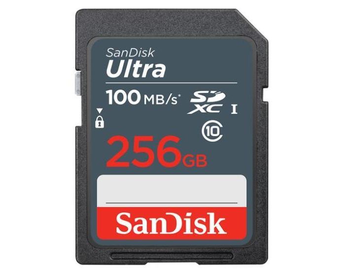 MEMORY SDXC 256GB UHS-I/SDSDUNR-256G-GN3IN SANDISK