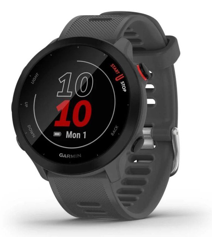SMARTWATCH FORERUNNER 55/GREY 010-02562-13 GARMIN