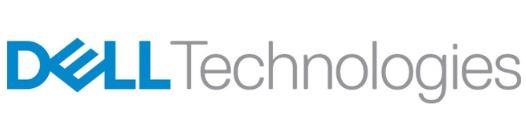 STORAGE DATA PROTECTION SUITE/SW LIC DPS4VM_TB 1YPRO DELL