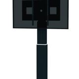 TV SET ACC WALL MOUNT 42-100"/PLASMA-W2500BLACK NEOMOUNTS